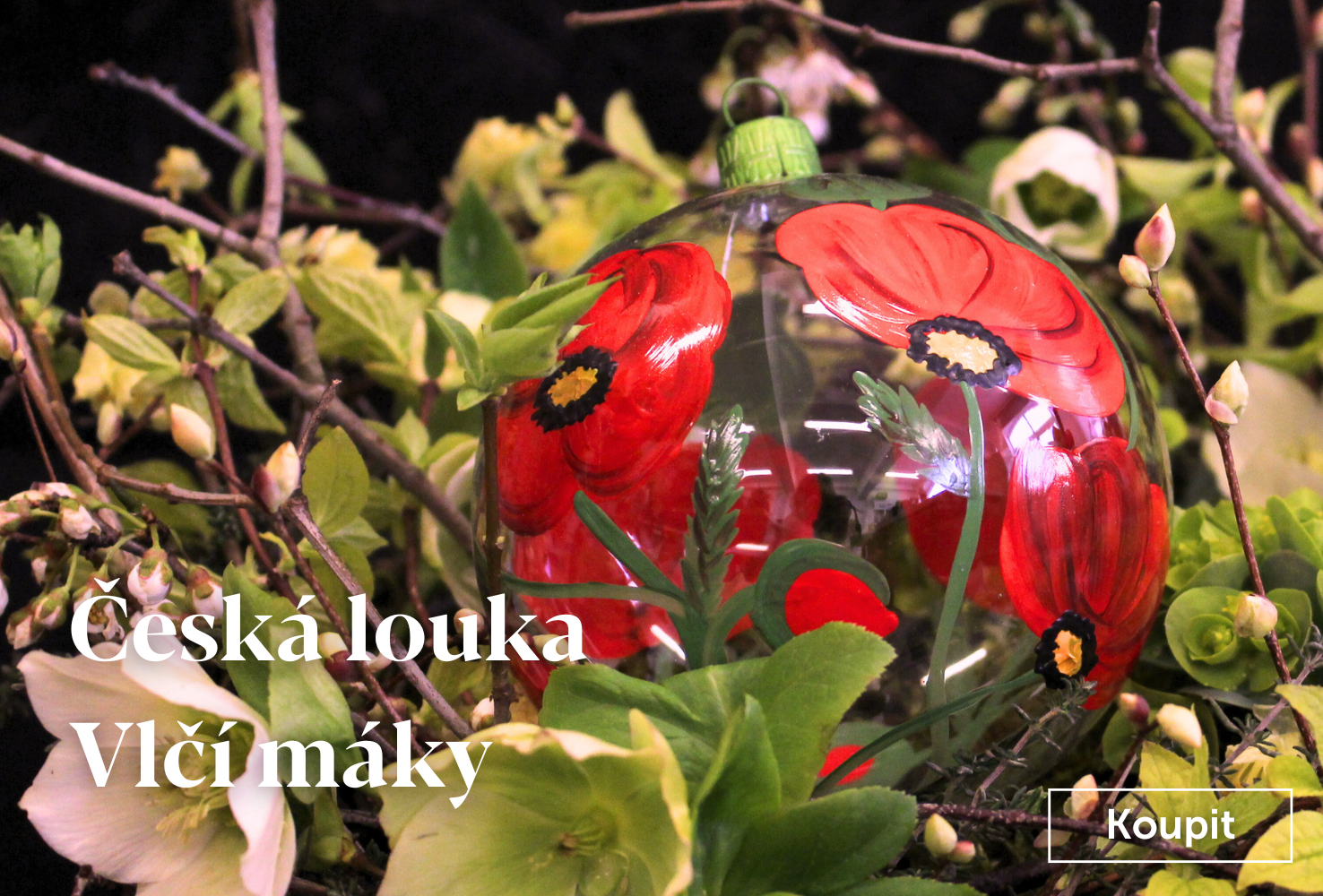 Česká louka - Máky