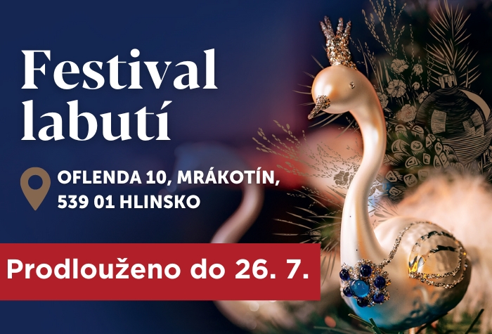 Banner - Festival labutí