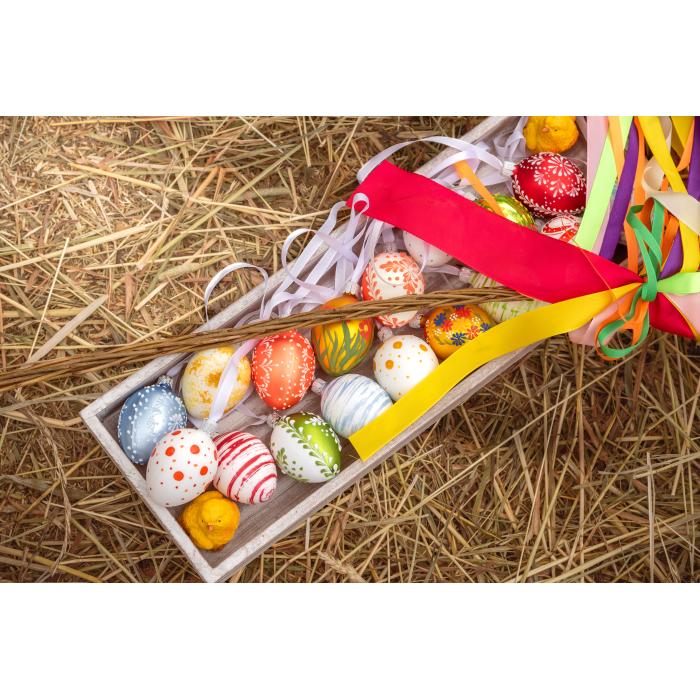 Jarní výstava Koulier 2026 obr.125