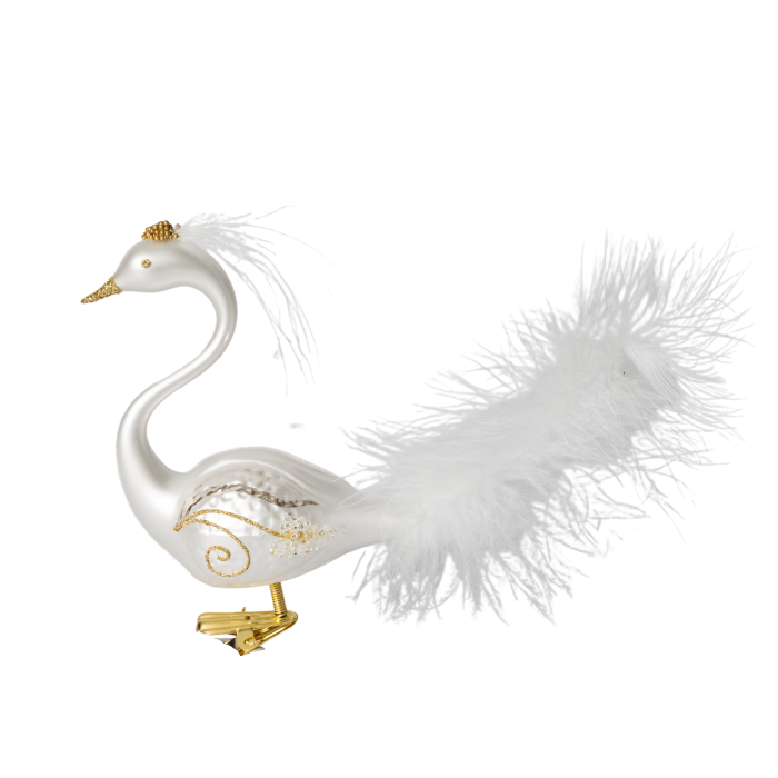Labuť bílozlatá