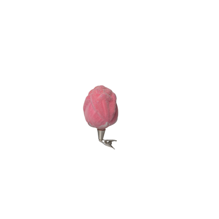 Růže